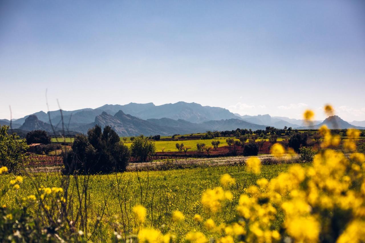 Cal Tomas, Ecoturisme Terra Alta Guest House Bot Bagian luar foto