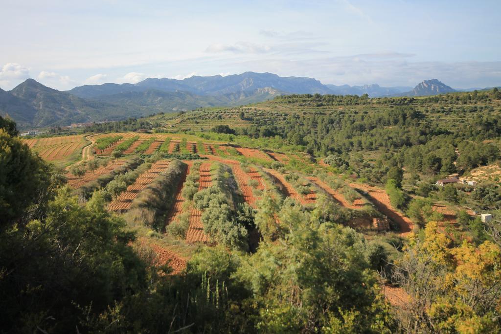 Cal Tomas, Ecoturisme Terra Alta Guest House Bot Bagian luar foto